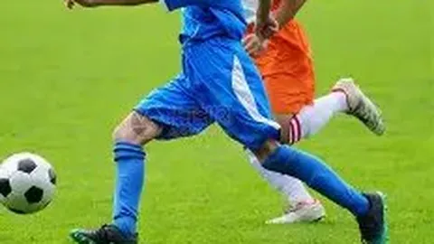 福原爱斥巨资购置豪宅 单身生活持续中